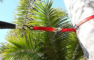 Strap tensioner (stainless steel 304 grade)